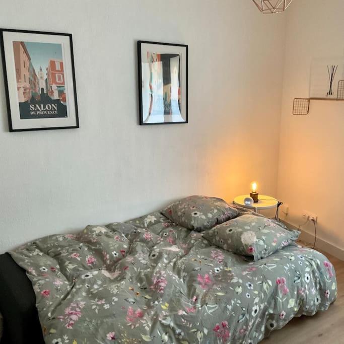Appartement Hyper Centre Climatise 普罗旺斯地区萨隆 外观 照片